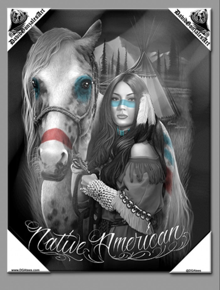 NATIVO AMERICANO - Arte en lienzo pequeño - 12" X 16"