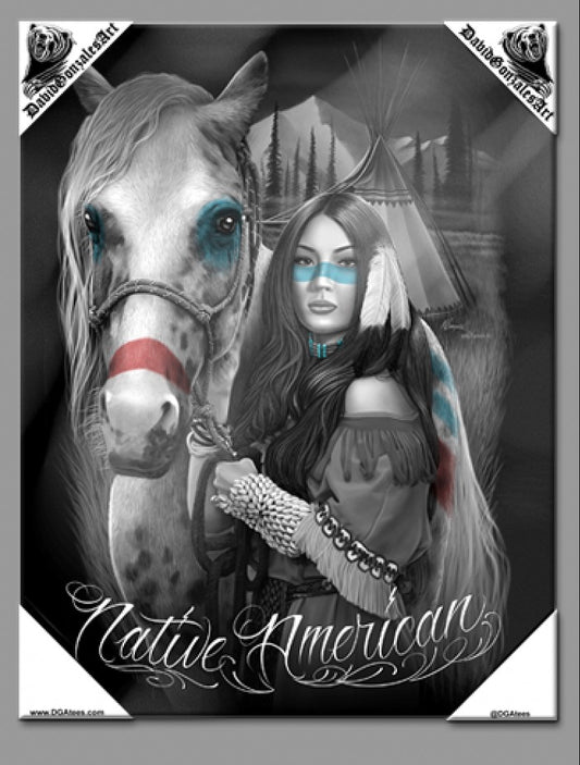 NATIVO AMERICANO - Arte en lienzo pequeño - 12" X 16"